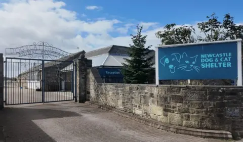 Newcastle Dog & Cat Shelter A gate at the entrance to the shelter, with a large sign with the name of the charity on it above a stone wall.