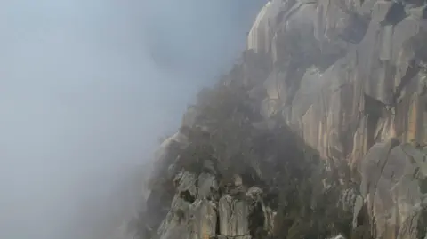 Getty Images A cliff shrouded in mist with sparse greenery.