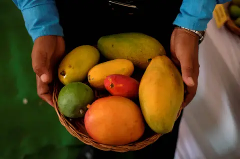 Mansi Thapliyal Una canasta de mangos indios en diferentes colores