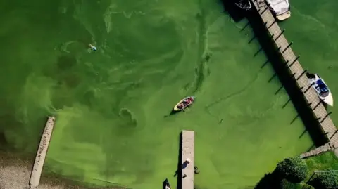 Overhead shot of green algal blooms in lake where there is boat in the middle. There is decking to the side.