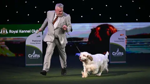 AFP via Getty Images Owner parades winning dog on lead