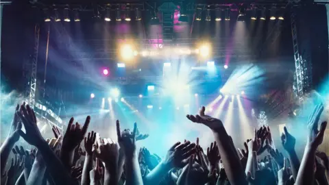 Getty Images A crowd at a concert