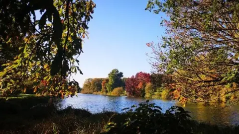 There are trees of all autumn colours - reds, golds and browns - on the trees on either side of a river. The camera is pointed down the river which is dark and glistening. There is green and brown vegetation in the foreground.