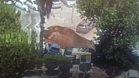 Sinkhole