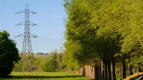 A pylon sits at the back of a field in the Cotswolds on a sunny day. To the right of the field, there is a neat line of trees. There is a large woodland behind the pylon.