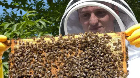 David Maxen in a beekeeper suit and yellow rubber looking at bees on a super. It is a sunny day.