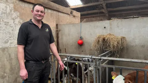 A man on the right of the screen n a black polo and jeans his hand is being sniffed by a calf that is a few days old. Its a black and white cow.