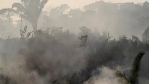 Reuters Smoke rising through the rainforest