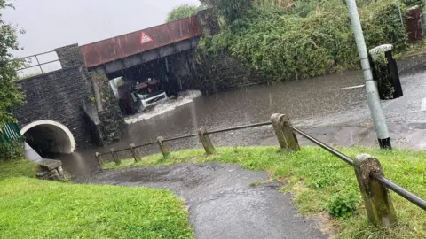 Kerryn Elizabeth Jackson Flooded road under bridge
