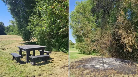 Two images side by side. On the left is a square picnic bench made out of dark wood, it is on grass with trees in the background. On the right, the same patch of grass has black scorch marks on it and the tree is slightly browned from fire damage.