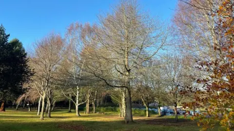Leicestershire County Council Trees