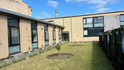 BBC Accessible courtyard garden between brick residential buildings, featuring a well-kept lawn with newly planted small trees, flower pots lining the building walls, and hanging planters on a dark fence under a bright blue sky with scattered clouds.