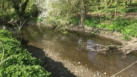 Angling Trust Chalk stream