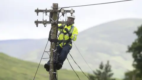 BT Telecoms pole