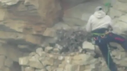 RSPB Wheeldon on the cliff