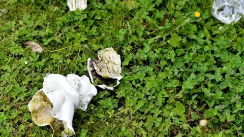 Pacemaker Damaged grave