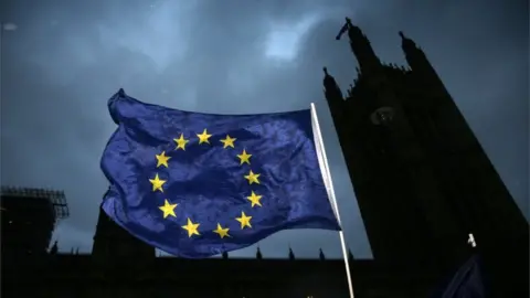 AFP EU flag outside UK Parliament