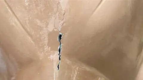 Puffins Galore Crack in puffin