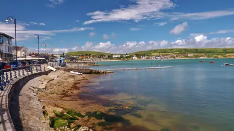 Robin Red Breast TUESDAY - Swanage bay in the sunshine