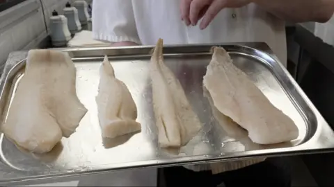 A silver tray containing fillets of haddock, cod, pollock and hake.