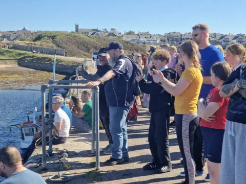 A group of people on a harbourside looking out to the water and taking pictures on their phones. In the distance there is a village.