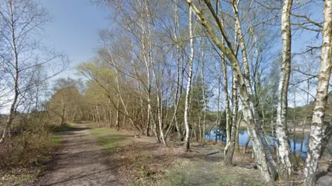 Google A path running through Upton Heath with a lake on the right partly obscured by silver birch trees