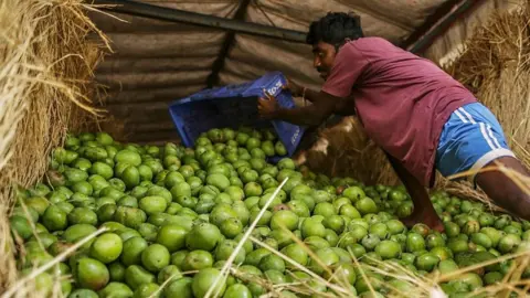 Bloomberg via Getty Images A worker tips mangoes on to a large pile of the fruit.