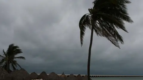 Reuters Clouds are seen over the beach as Hurricane Milton advances, in Progreso, Mexico. The sky is dark grey and there are two palm trees swayed by the wind and straw beach huts. 