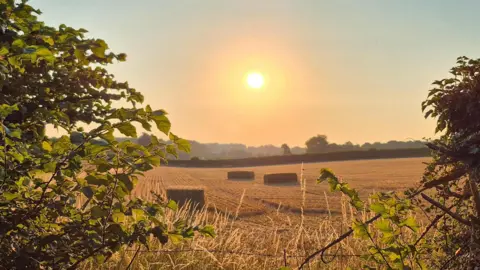 BBC Weather Watcher Pumpkins Mum Sun rise with bales stacked in a field at Tilehurst, West Berkshire