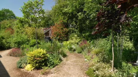 A garden with plants, shrubs and trees with a path leading to a greenhouse.
