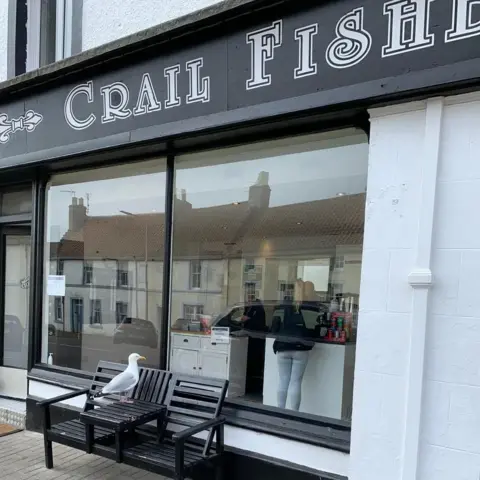 Monika Wood A seagull standing on a table looking into a fish and chip shop.