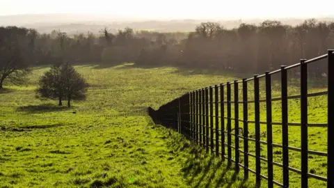 Getty Images Wimpole Estate