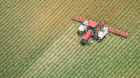 Getty Images Fertiliser spreading in a corn field