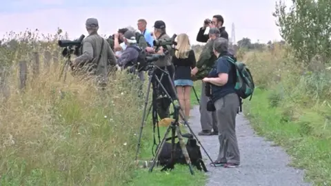 Bird watchers