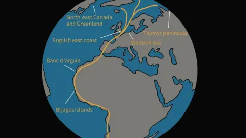 abpmer The route of the East Atlantic Flyway