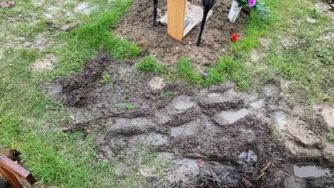 Supplied Muddy graves