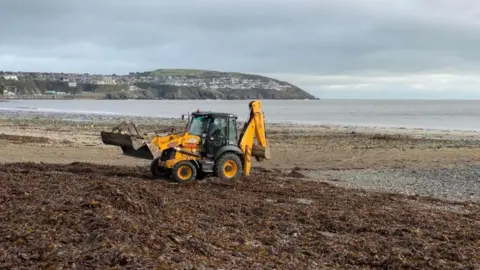 BBC Digger cleaning debris built up on beach