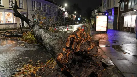 PA Media A fallen tree blocks a road in the centre of Norton village in Teesside