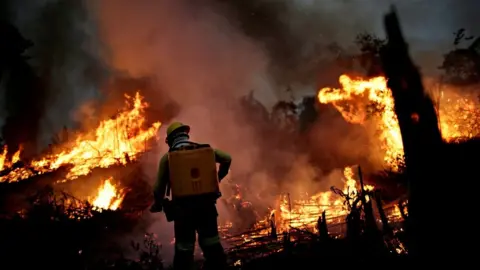 Reuters A Brazilian Institute for the Environment and Renewable Natural Resources (IBAMA) fire brigade member attempts to control a fire in a tract of the Amazon jungle in Apui, Amazonas State, Brazil, August 11, 2020