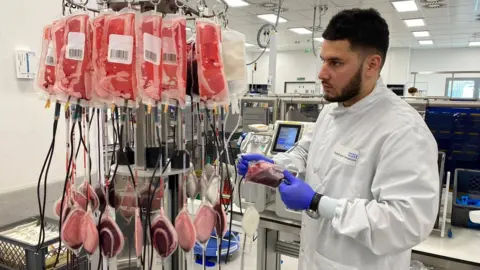 BBC Blood centre worker studying different bags of blood