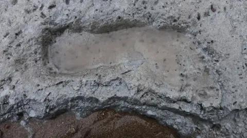 University of Reading Footprint