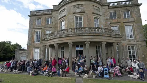 Rob Gray Dandie Dinmont