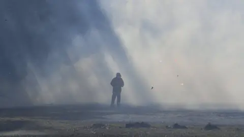 EPA A firefighter stands in the middle of smoke from a bushfire near Nowra in New South Wales