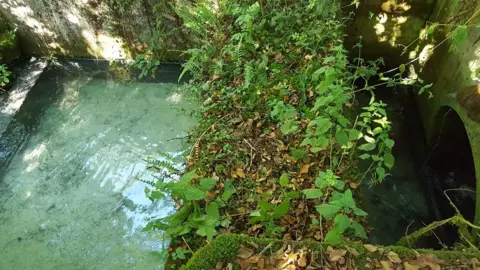 Natural Resources Wales Water