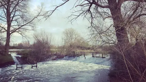 Esther Johnson Parsons Pleasure