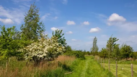 Mike Selby/NT Images Woodland at Wicken Fen