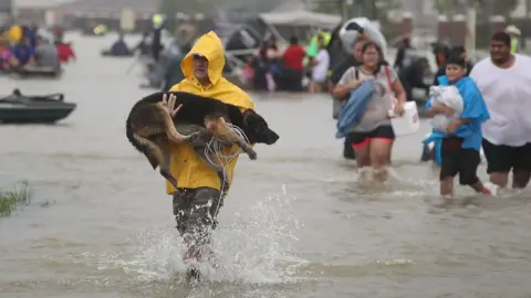 Getty Images A man carries his dog through flood waters in Houston.