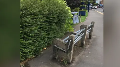 Melanie Stone The bench faces a large privet