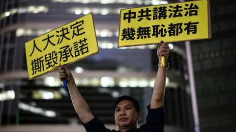 AFP A pro-democracy protestor at a rally in early January