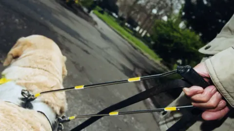 Getty Images A guide dog leading an individual along a path